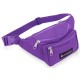 Everest Signature Waist Pack Standard - 044KD - Purple